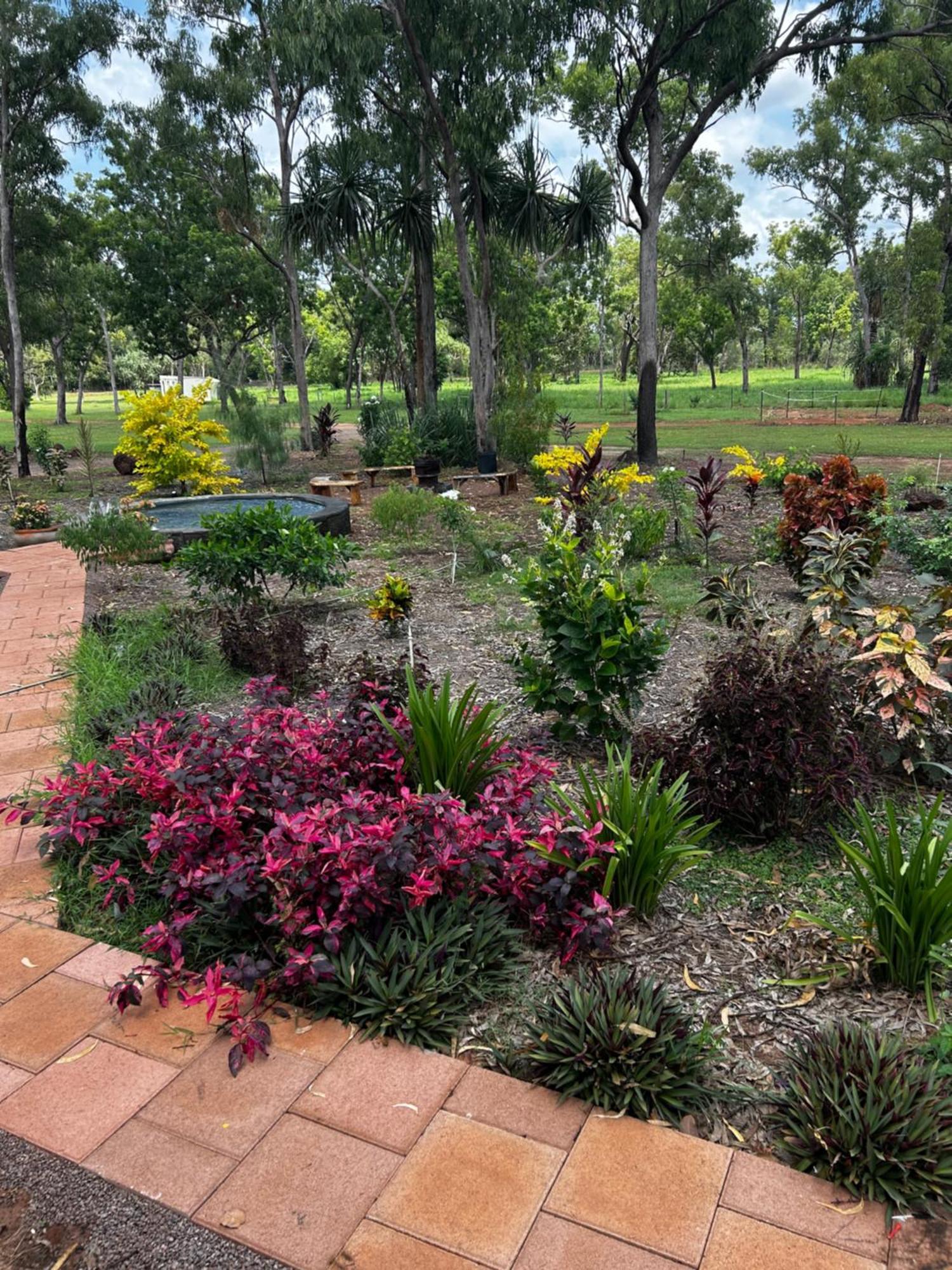 Litchfield Tropical Stay Batchelor Luaran gambar