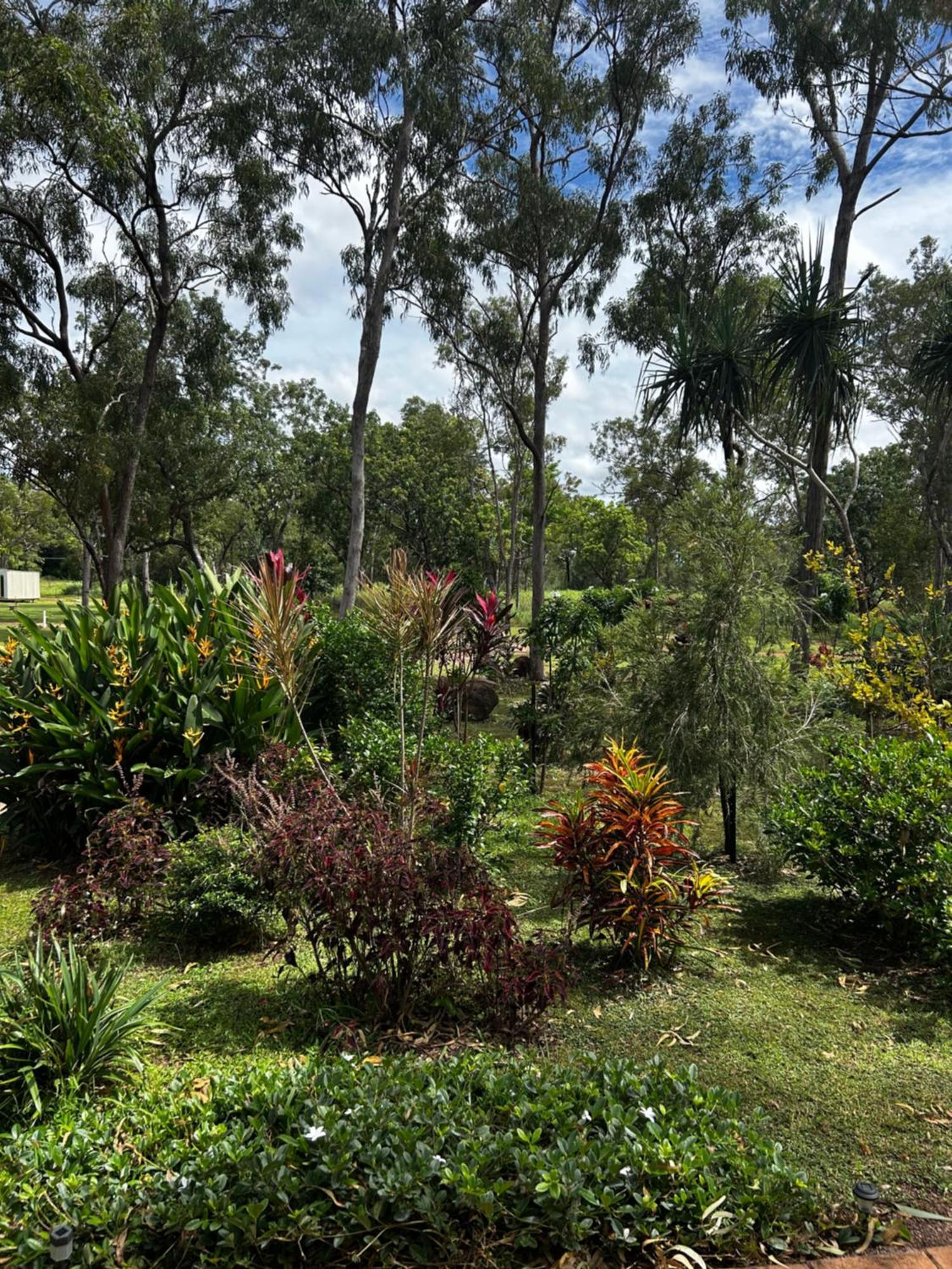 Litchfield Tropical Stay Batchelor Luaran gambar