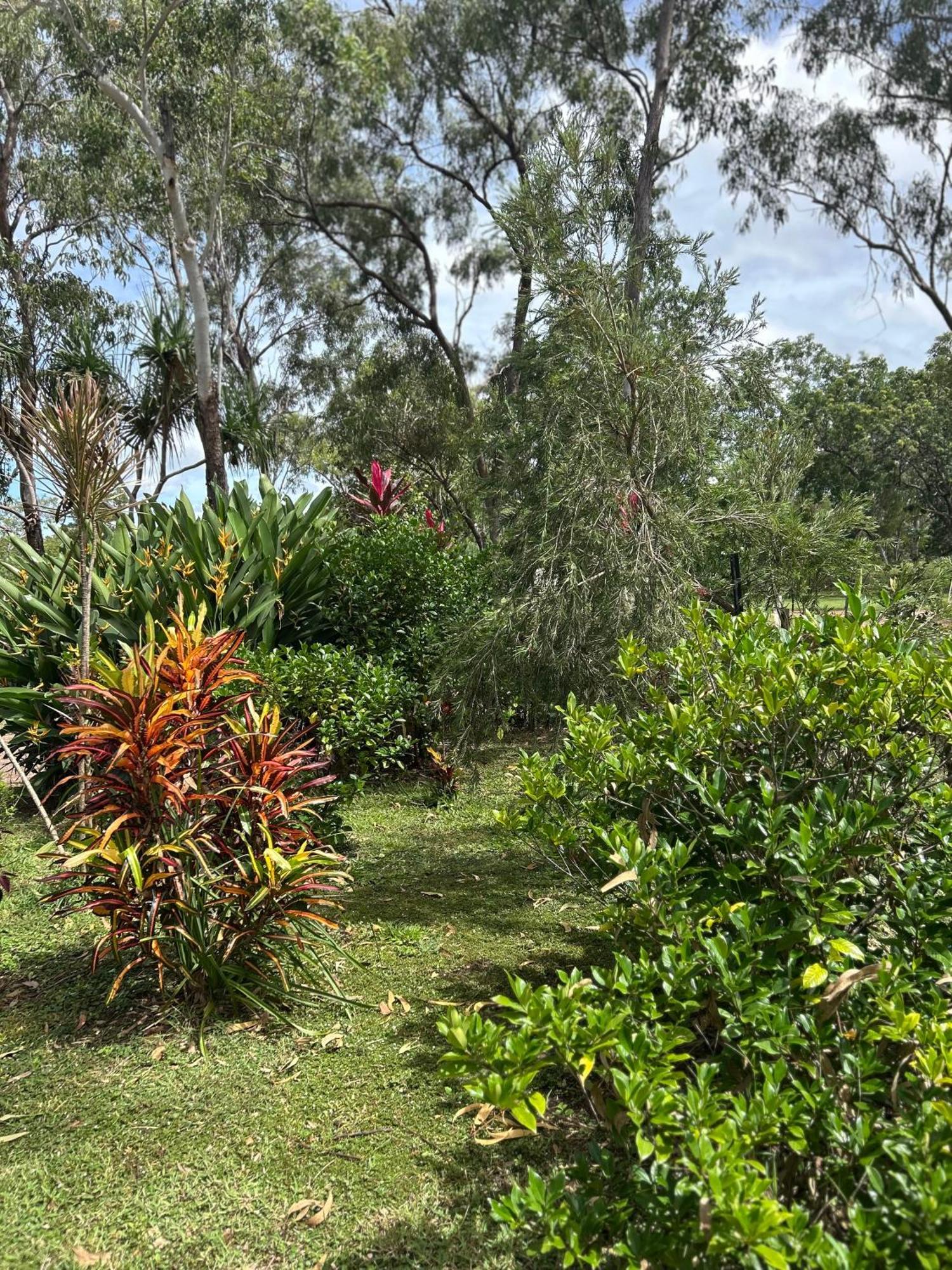 Litchfield Tropical Stay Batchelor Luaran gambar
